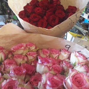 Rosen, Blumen für die Jugendlichen
